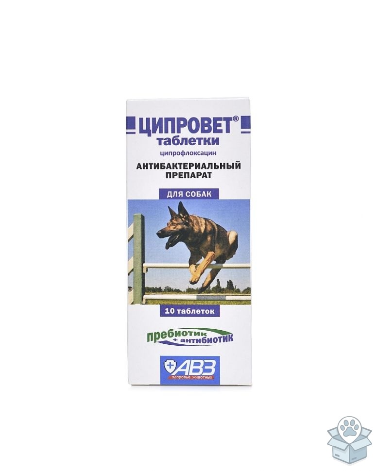 f5bb2ad2036943e2b67f5790f68ff909