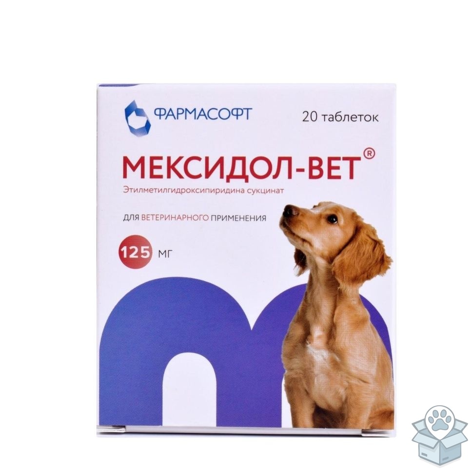 2b194f51681e4cfc9b8b4593b4b61292