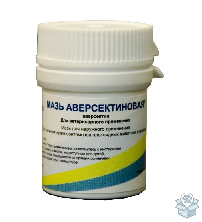 eba7314b80124b49a28e0b05ea1a6957