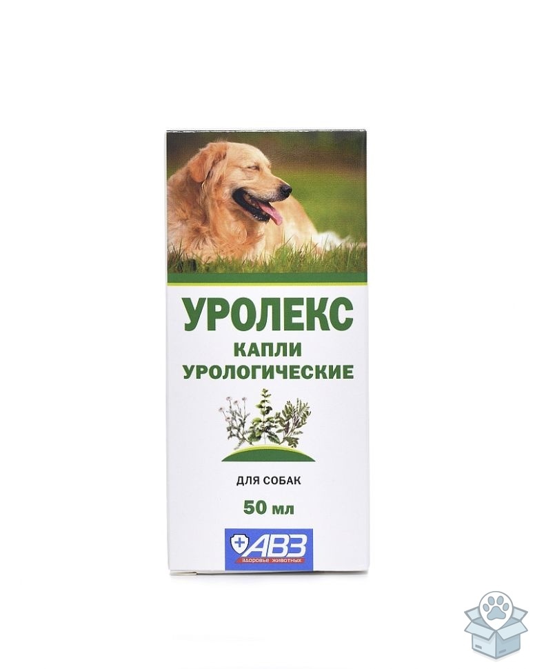 3f0ffb9834d2435eaae36b7785c51307