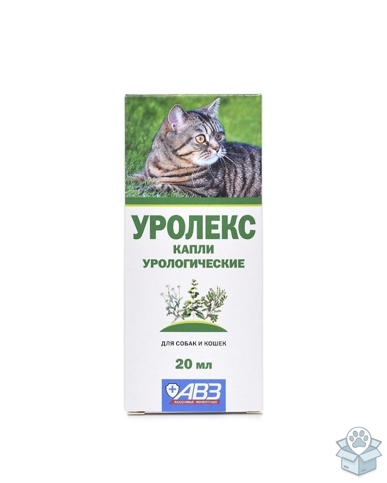 0b66575c29b94bbc9c4f92a40fe786bc