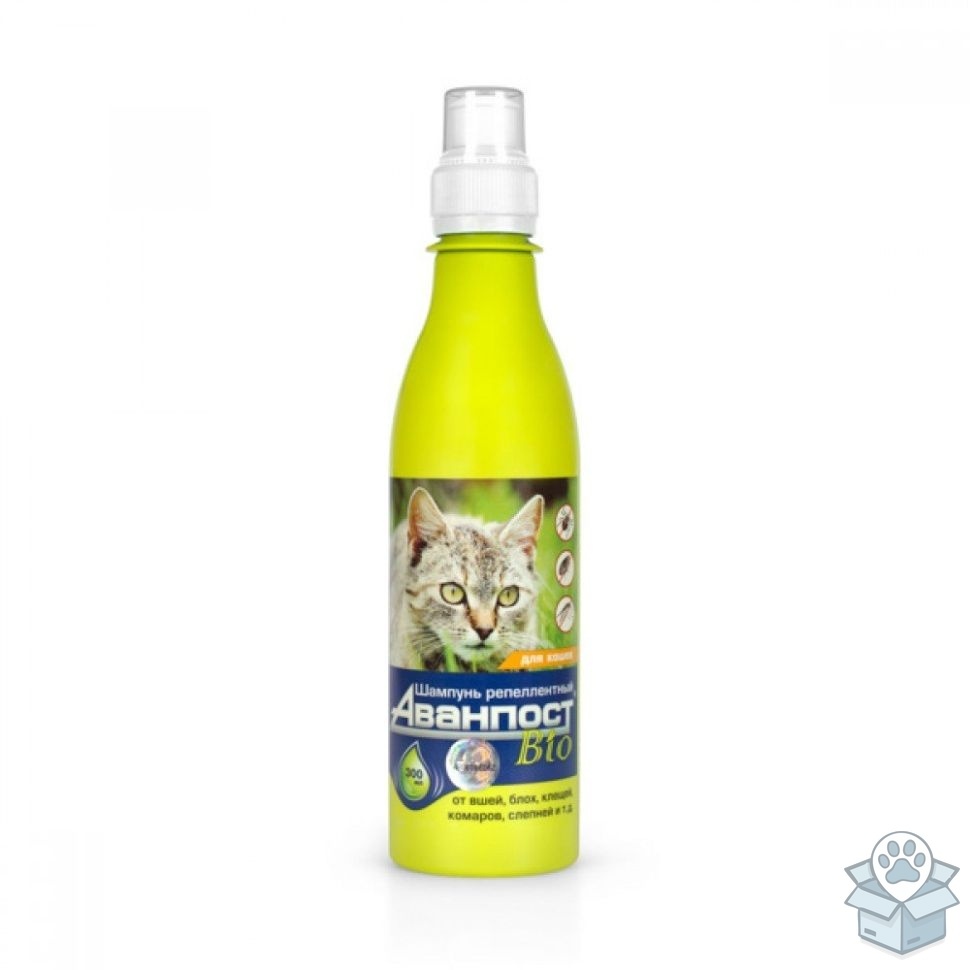 12b6f6ba068f465c940a654db76e3641