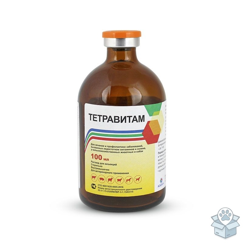 Асконт+: Тетравитам, раствор для инъекций, 100 мл