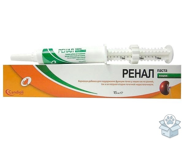 Candioli: Ренал паста, кормовая добавка для кошек, 15 мл шприц