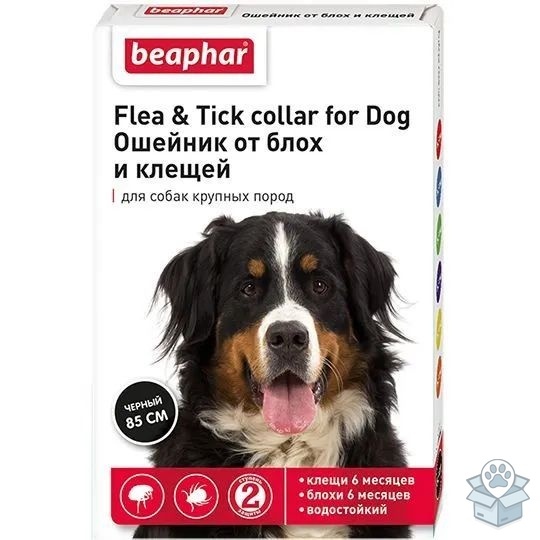 d8841918bba141aea6c0c1fba6ce4533