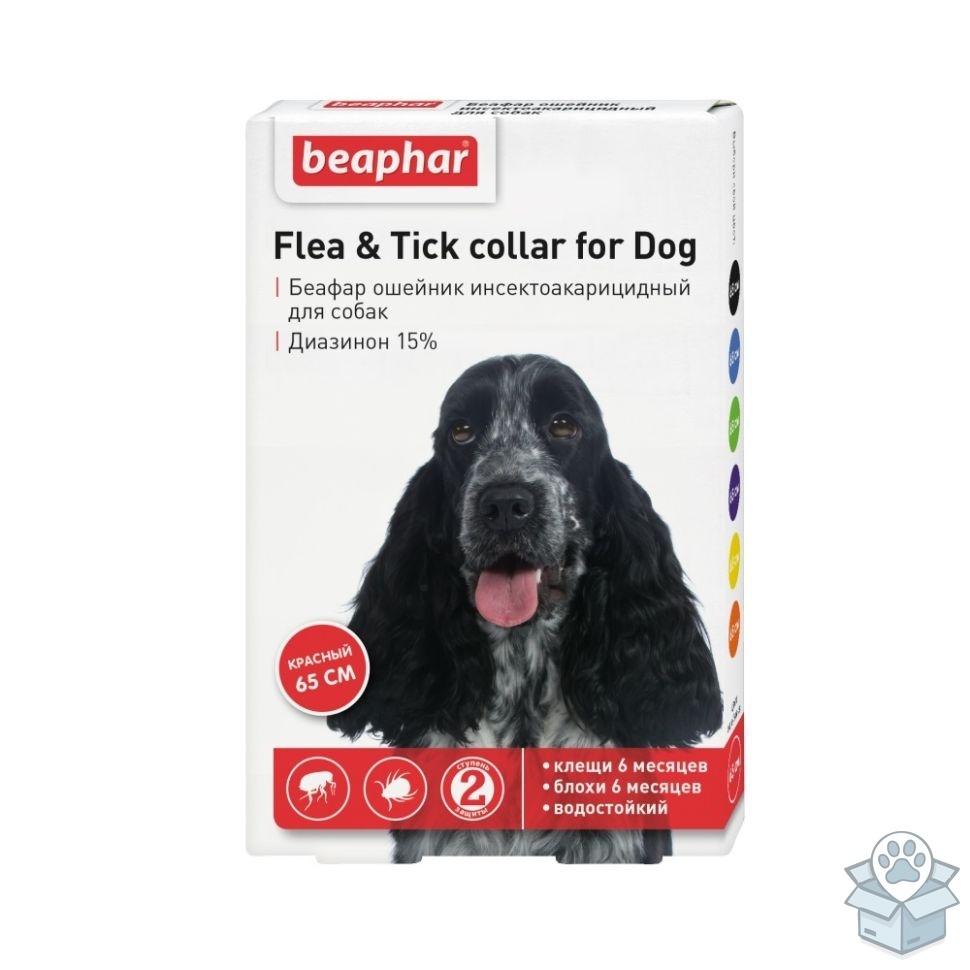 bbb5cf54c87243fab9fded09e220d7b6