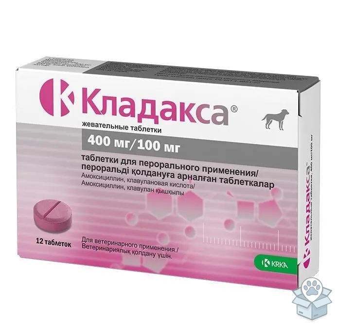 12e6de577f854b69afdf8cb20fc2b5a0