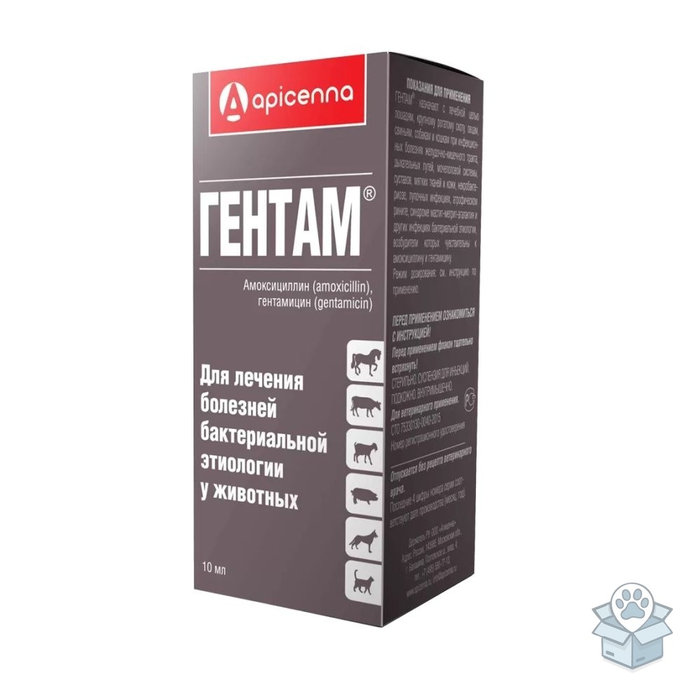 Apicenna: Гентам, суспензия для инъекций, 10 мл