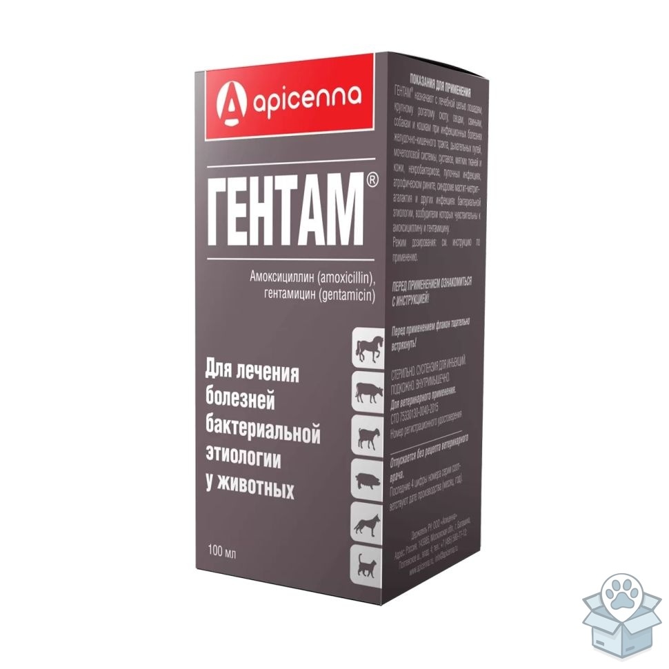 Apicenna: Гентам, суспензия для инъекций, 100 мл