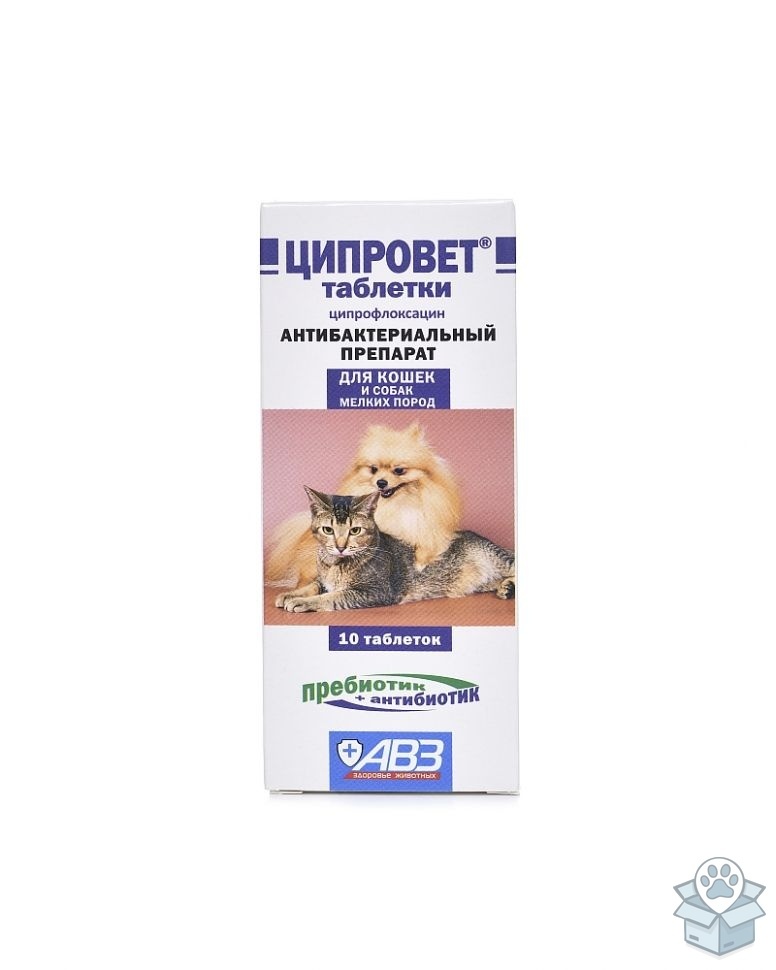 dd7e98e30b30404295d7dd3fe1517f94