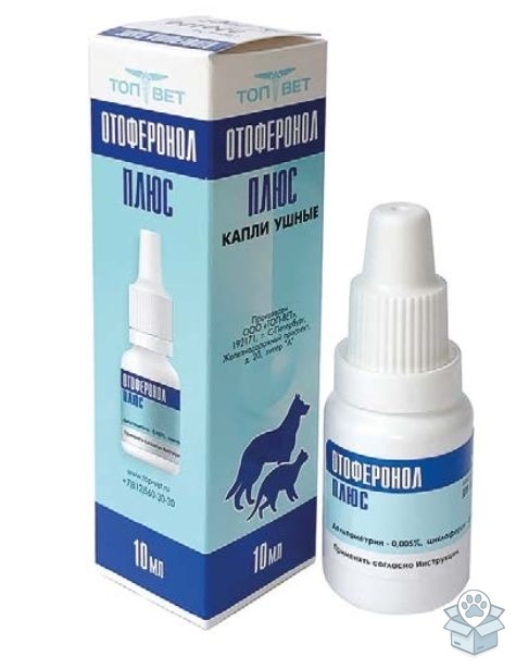 c766daddf0ee4e479d298f44c672a13a