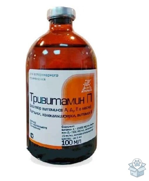 9749d0a3f11a4a728113ab64df5f85eb