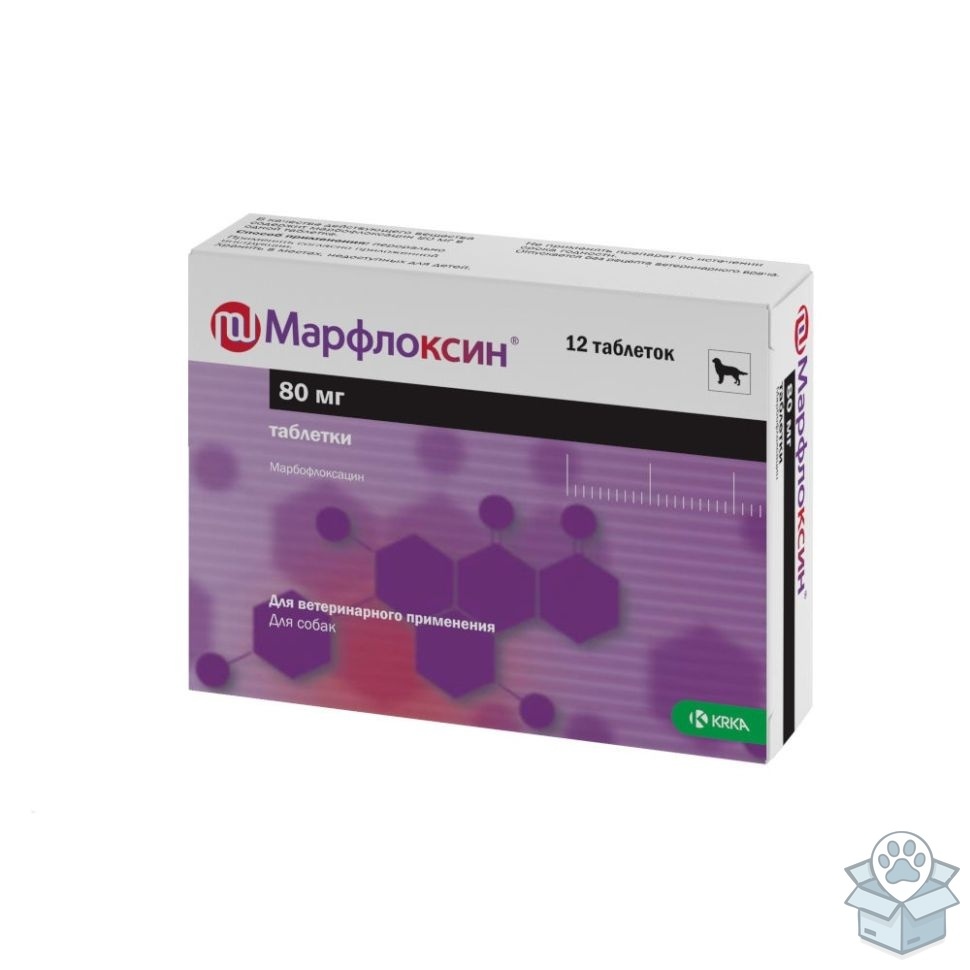 47b594f4efac4275870f661ef8702bd3