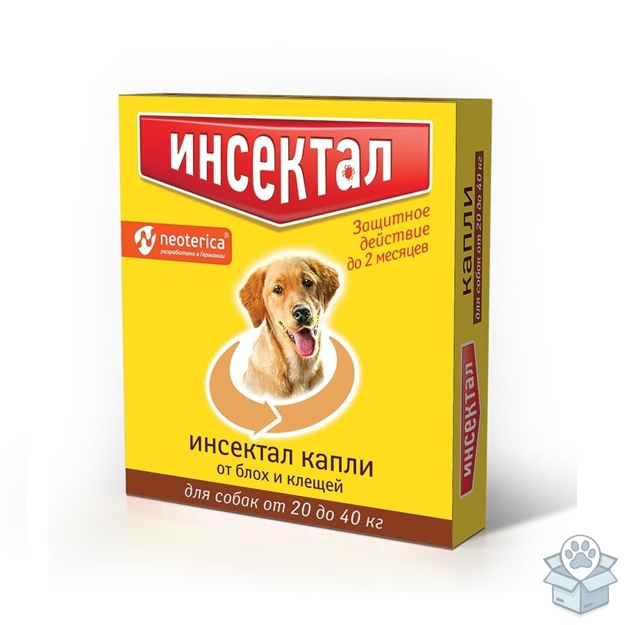 ae937fb1a1fb40acba1c5c9c2e7ef124