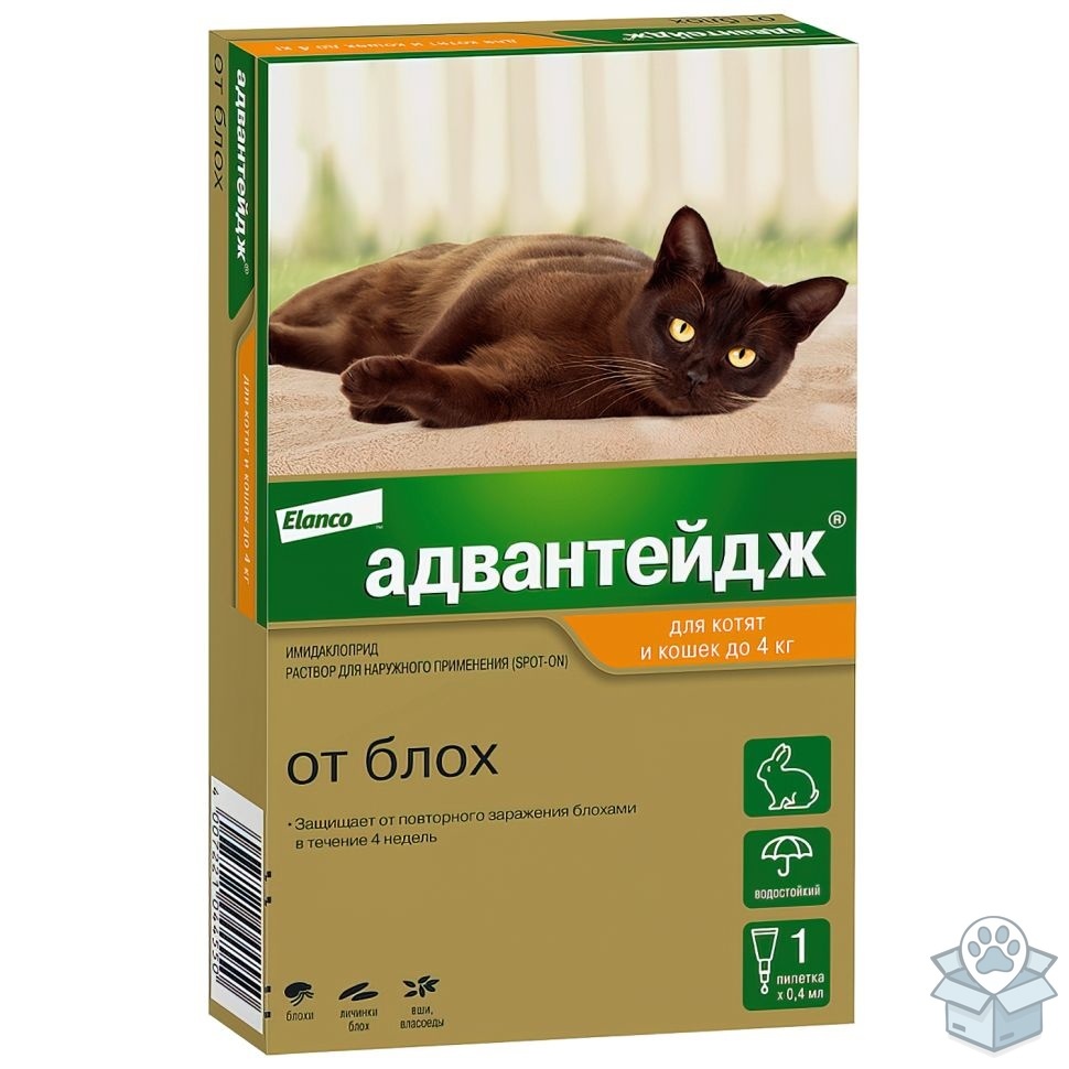 4ae50bef9e9e43a7b9b1a7625e7b003b