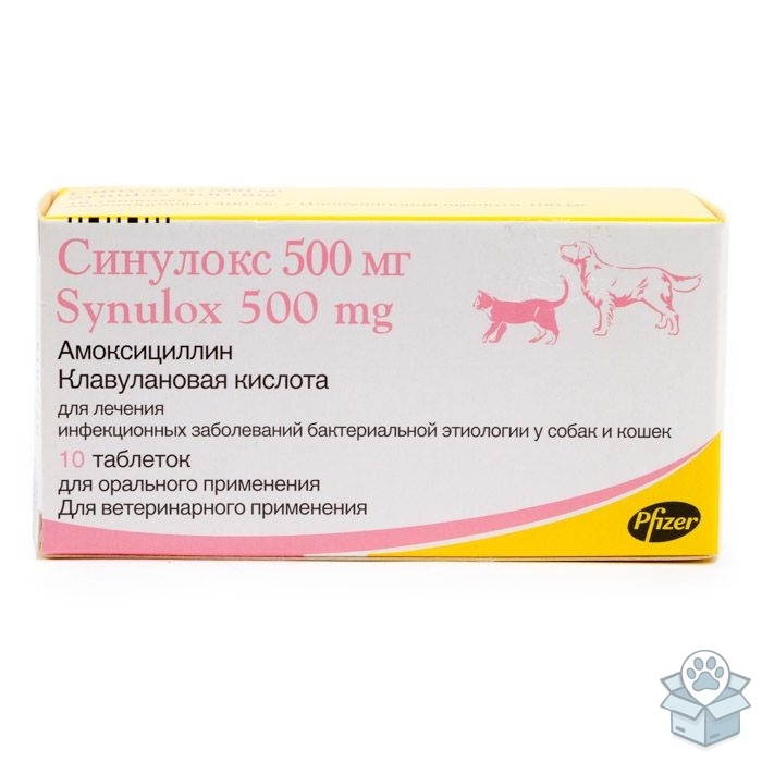 1a15413a78f947a6961e01dfb3a0e167