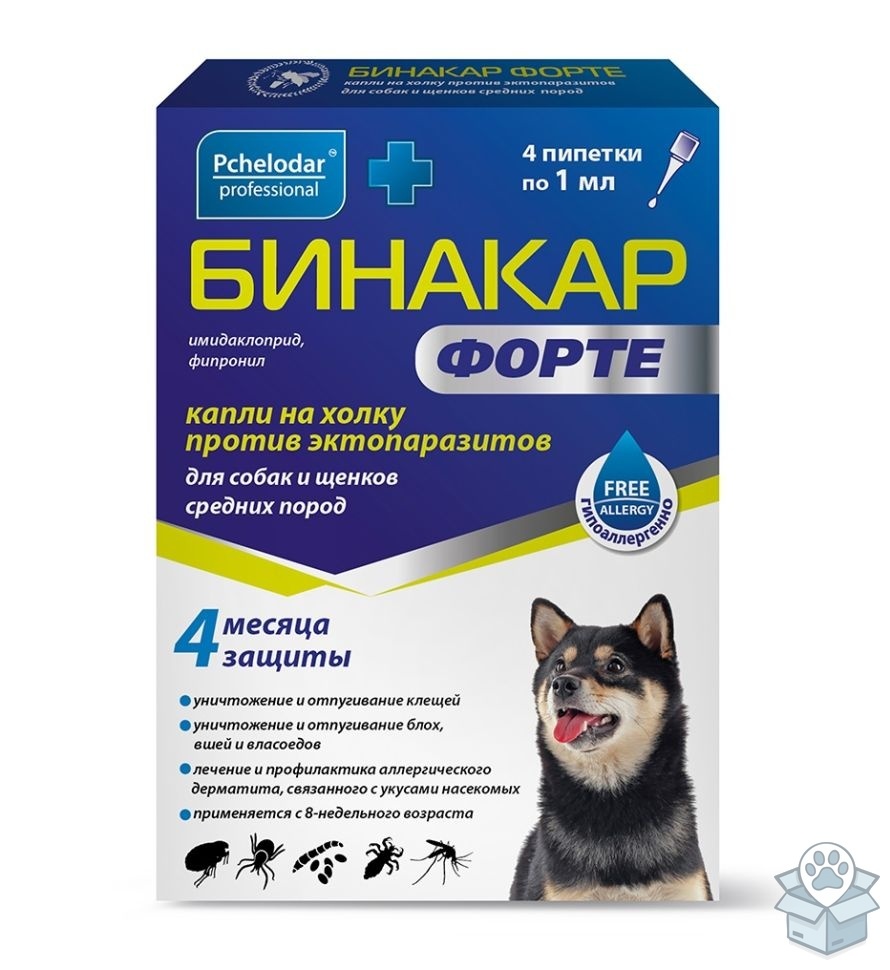 2637f7237a5c4d07b43dca331995d1e2