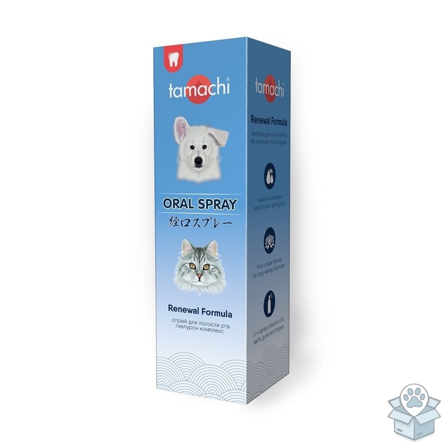 f935fff07ea34414a3ad7f449c722db8