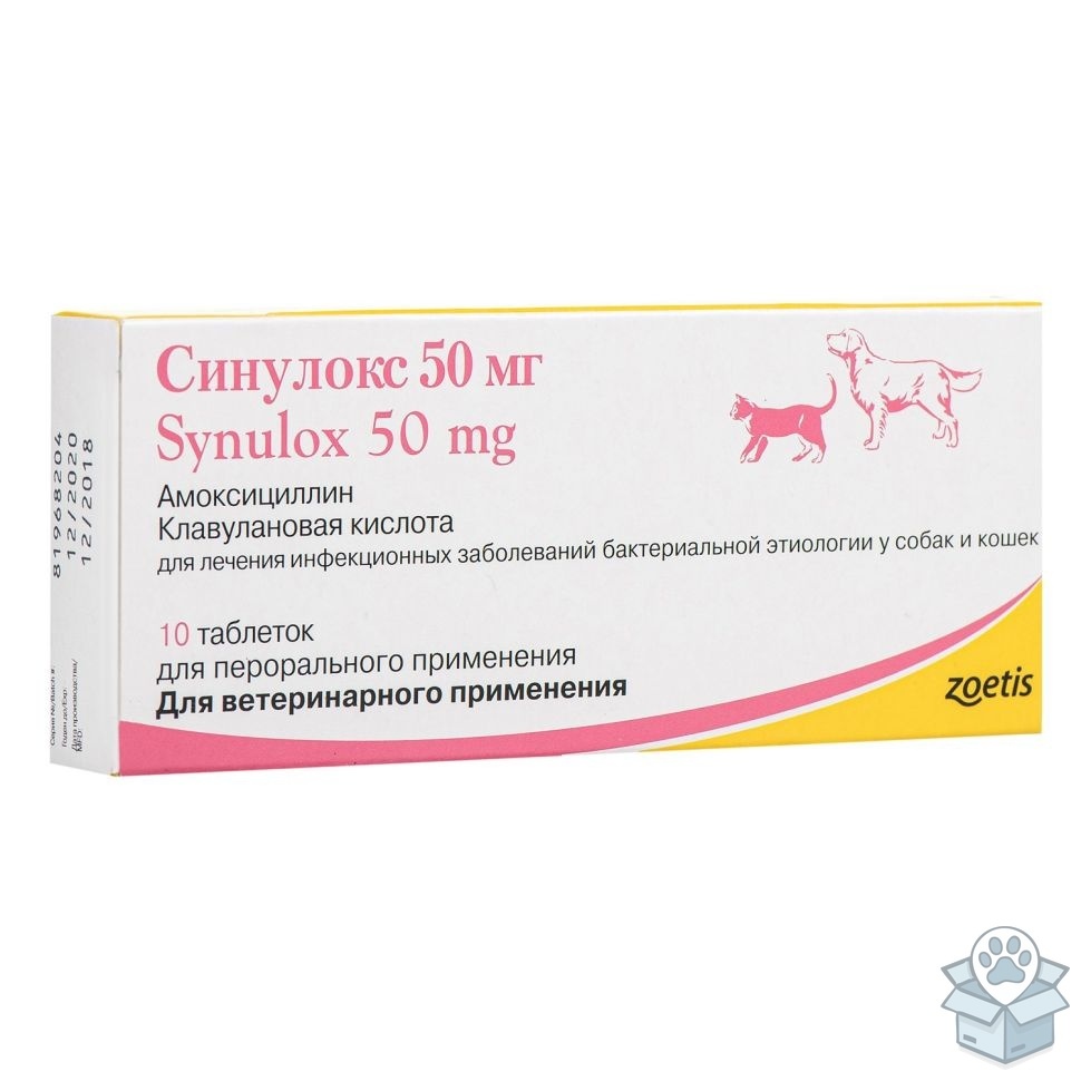 95558bd59e8a430380f192794779032c