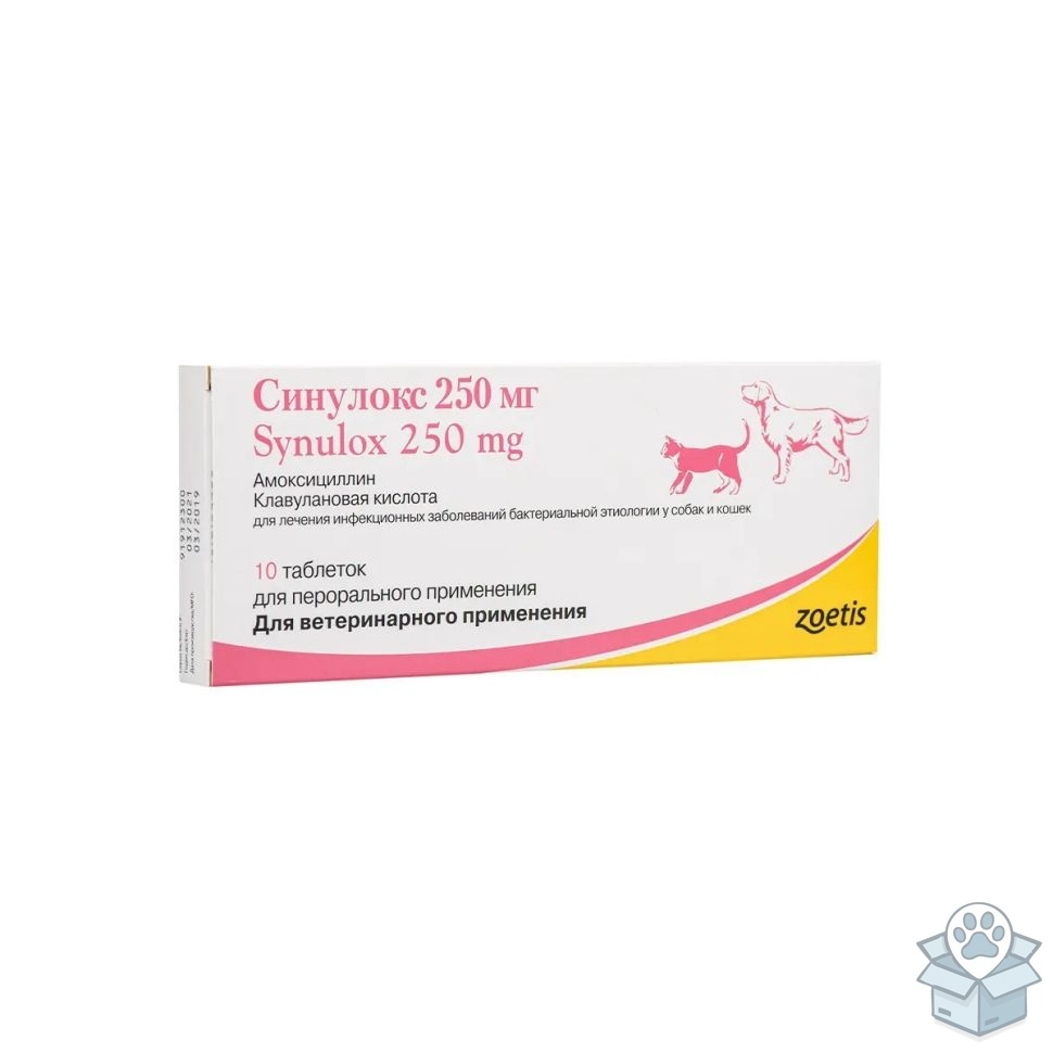 b73c5264a1c64fbca387016151813f3d