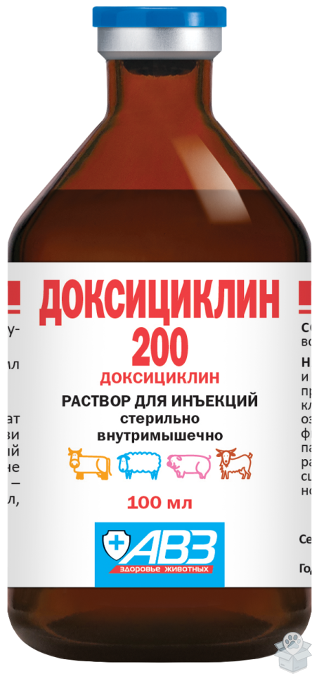 4a82faf69cb446a0a27ce357485301c0