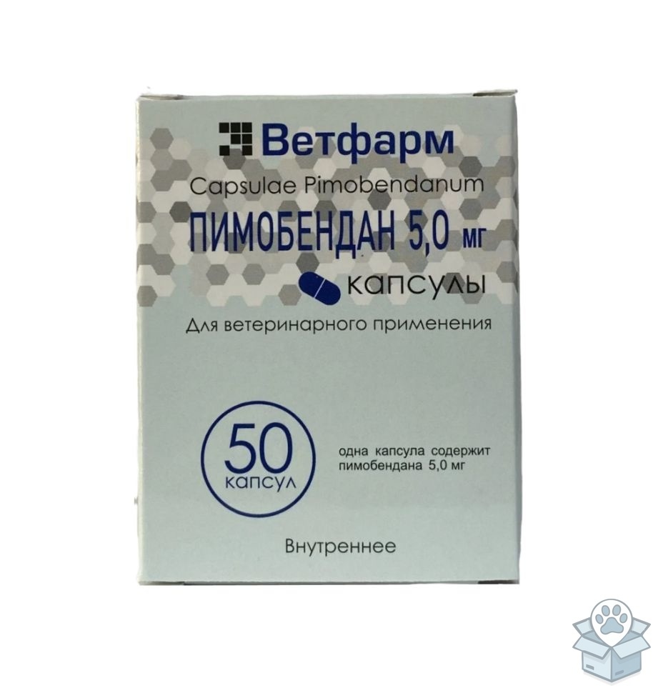 a6a7303c2d1d42b38976b5d1f646bbad