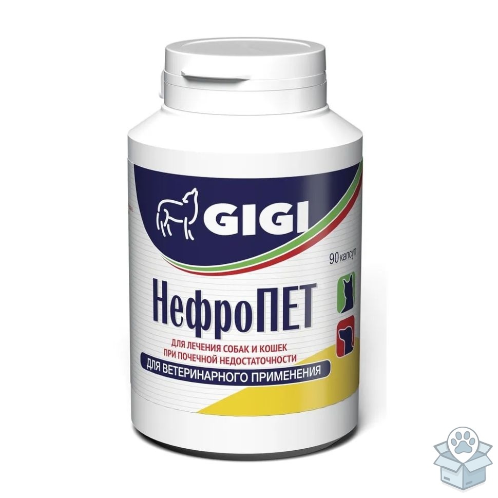 a497541f83bf419bb9c7a886bcea11af