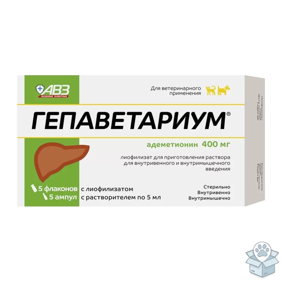 f0ac920c3d834c88ab9c7e5191e0a6d3