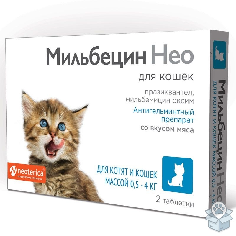 244a0fb89c2d43f29c165f32af206aa1