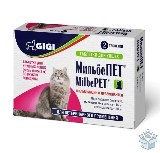 cce0638527a34a9ea3fdded6469f5d92