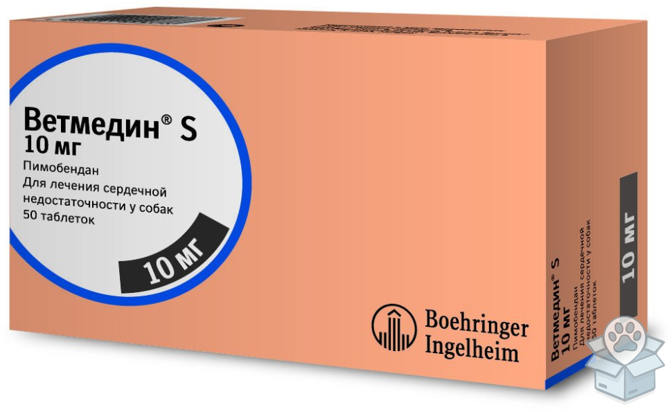 858c7a01aa494d909a803db029fe5b04