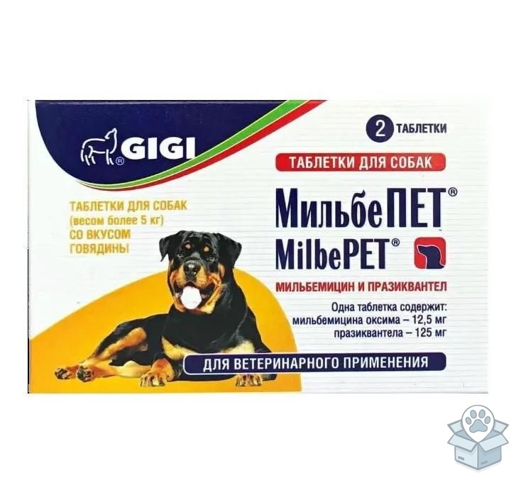 d33047771df34ab7b41256d06848ca51