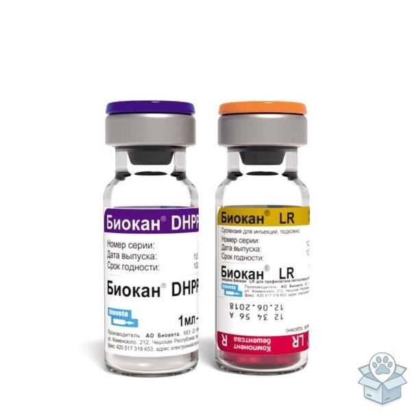 54a933fe2927492eb59b23c16db1bdeb