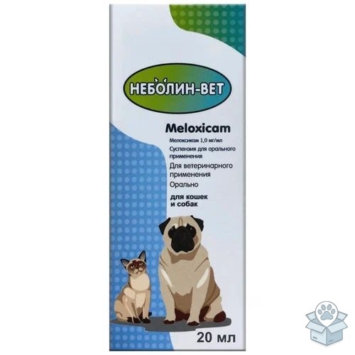 9001db6265464a2ba5e85bbb35703dc6