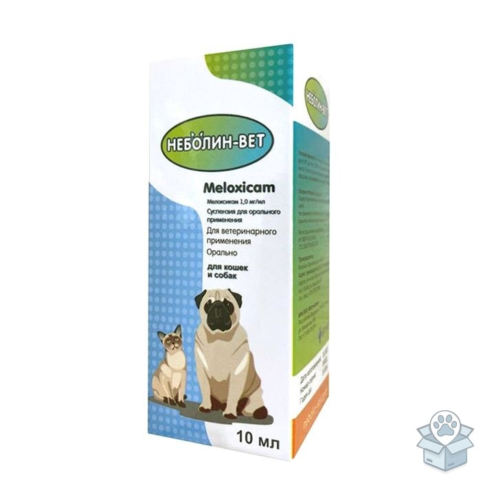 f120f264e73e495c964b9cb211930686