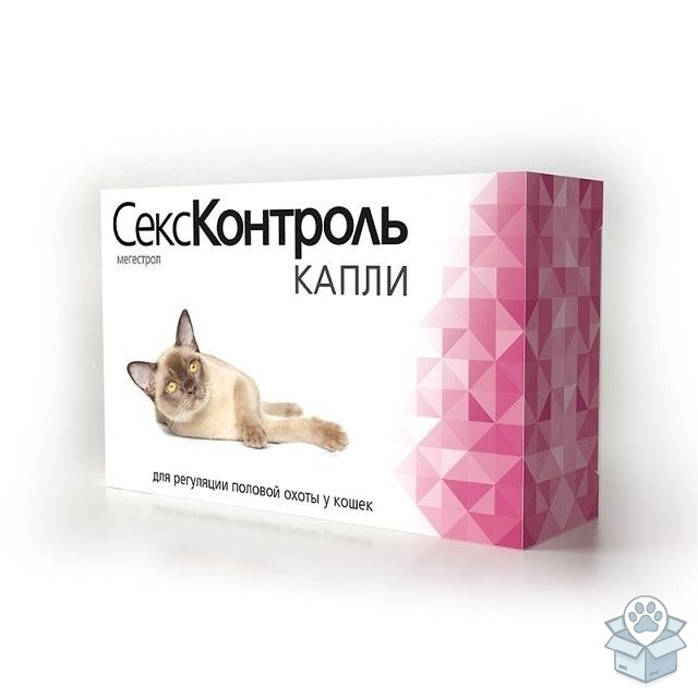 6a09f52e13d345ea9babcde0d6b54148