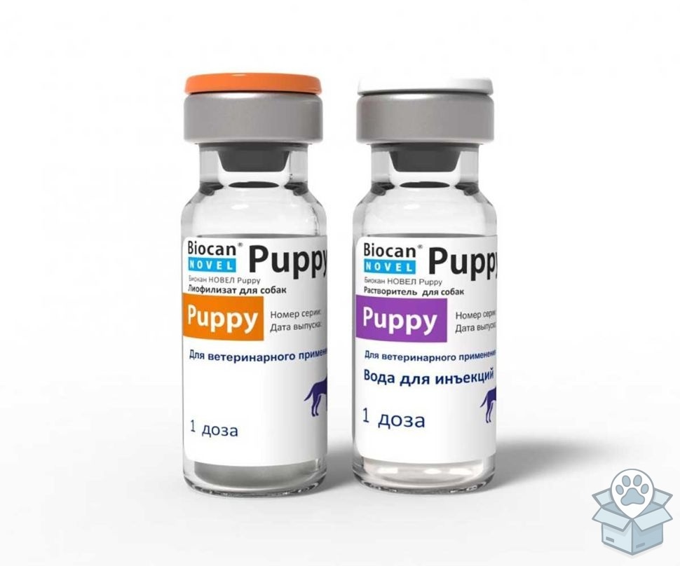 9d9ec34023dc4435a5d1ec5aed200d42