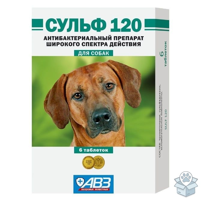 09acf64a5677462e9bb4f1e581f7f56e