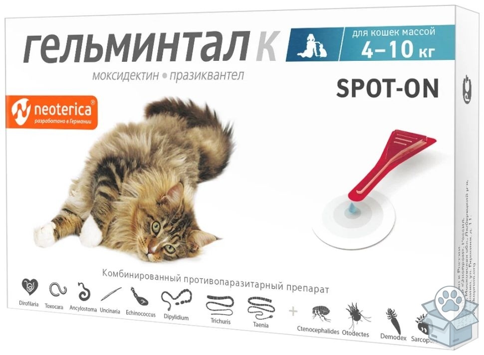 e99db8ace7da4f16b29f5fbd637af0c6