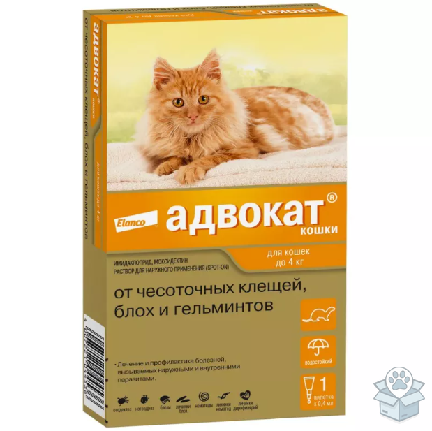 effd38a70f9f4a48a977b71c64563c9f