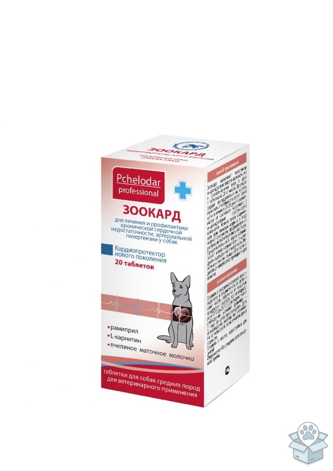 b8b6958bc5b8470cb63d929c7778a8ec