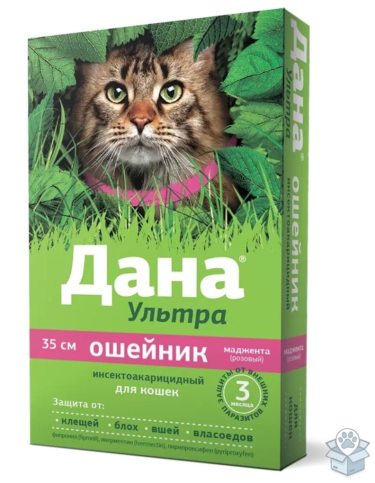 47e502a1b08143a4a81086c3b4c14183