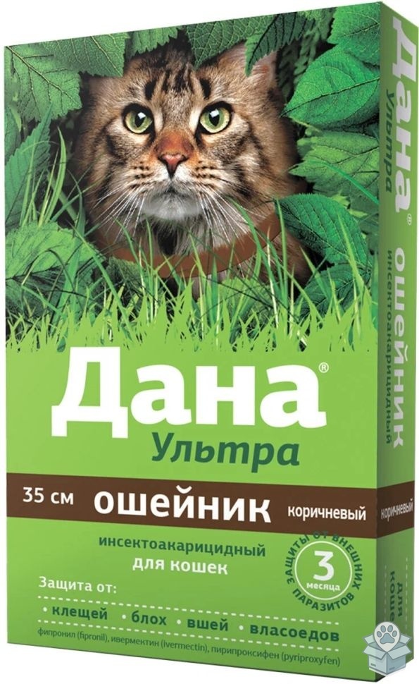 03df1fd1aa0349c496fc4fe03095fdba