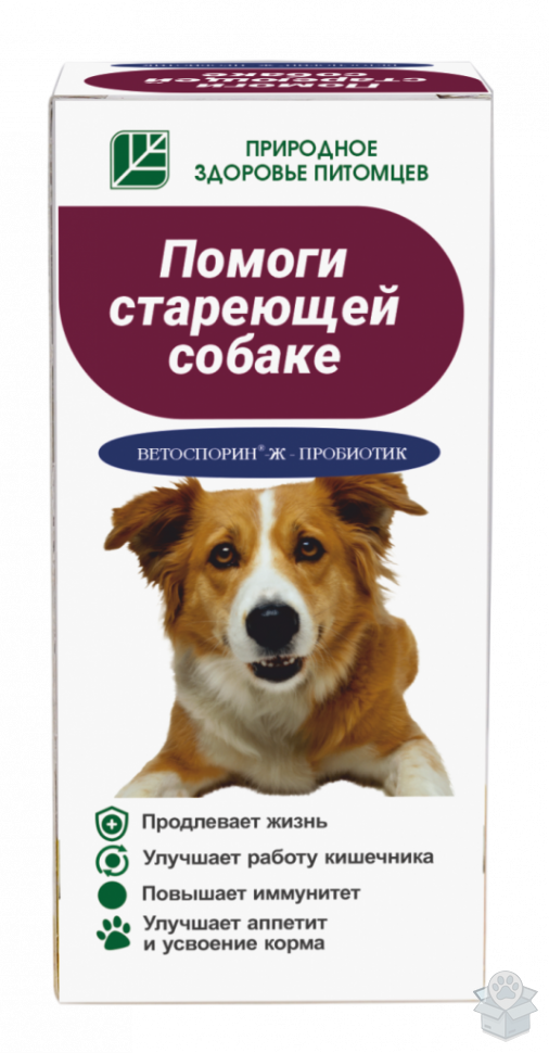 37d2dd6972f447c99cd8c232a061335c