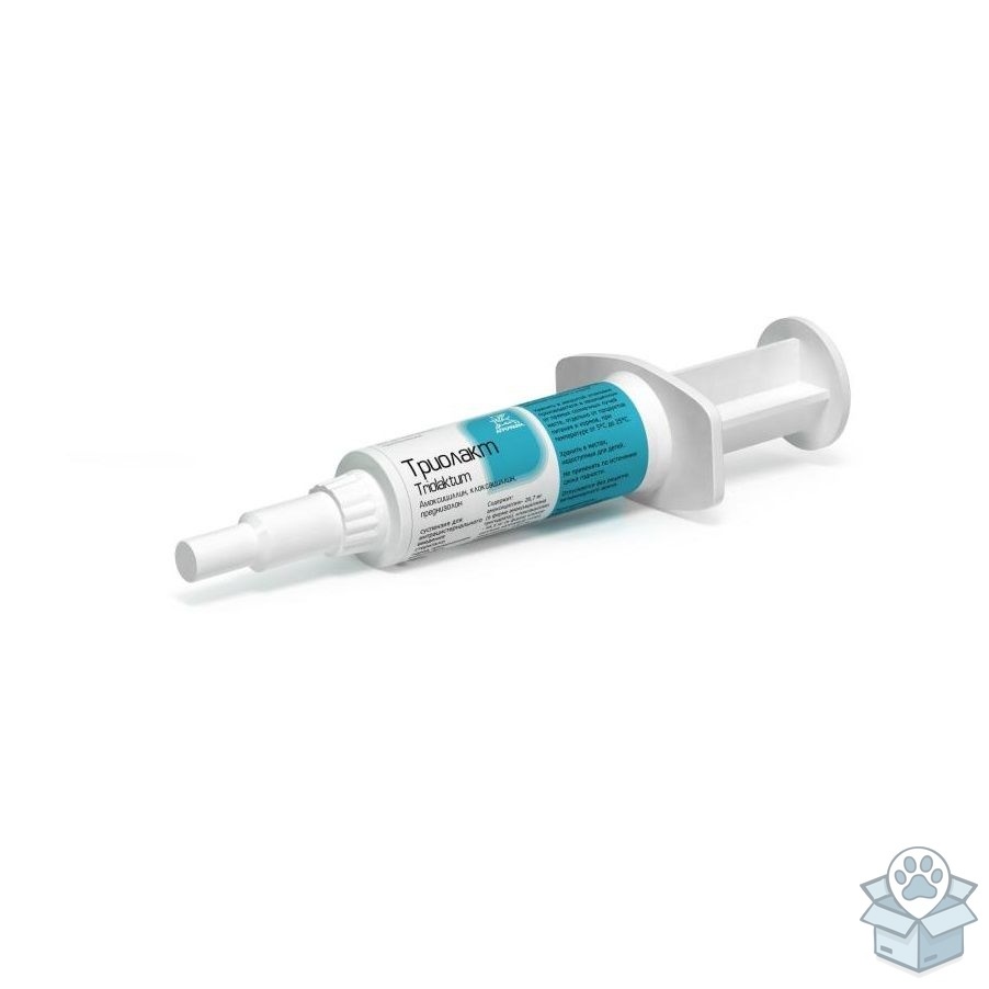 09e772f3529d4f7d8f39dc46518815c8