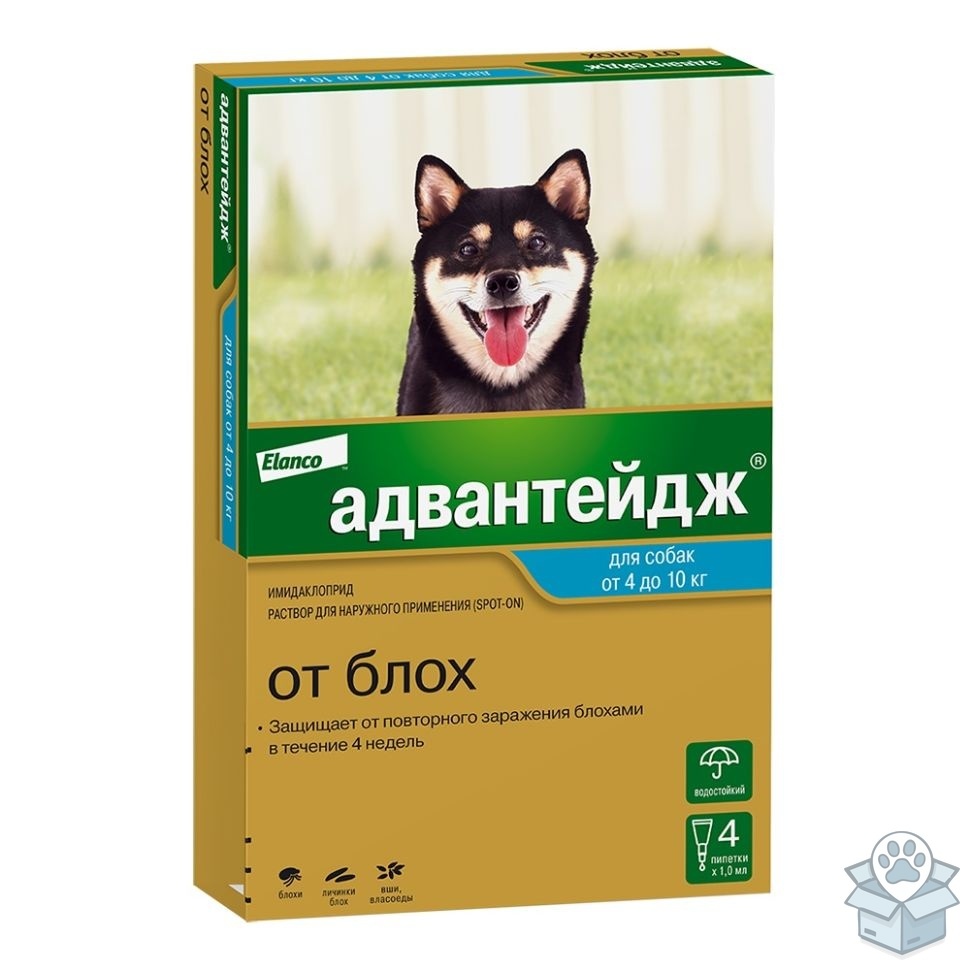 250fe03519864368b7a329f07b051e3e