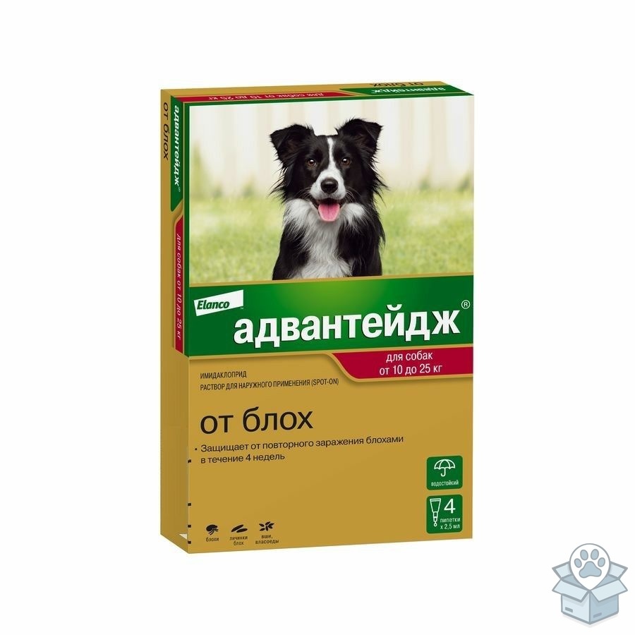 1737efd5b5c343448e6cab93c1585c89