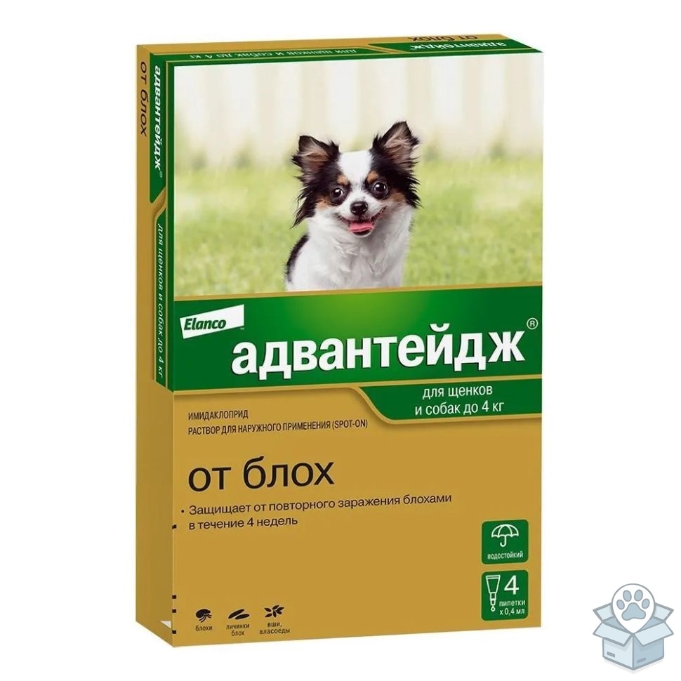 0c10bd206d324969a0eaac0c4d43b69f