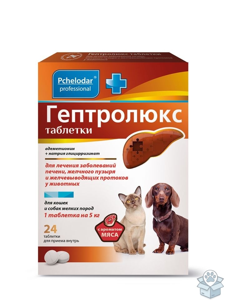 acbc6e92a99a4a6c9f8f77536cf4e0c1