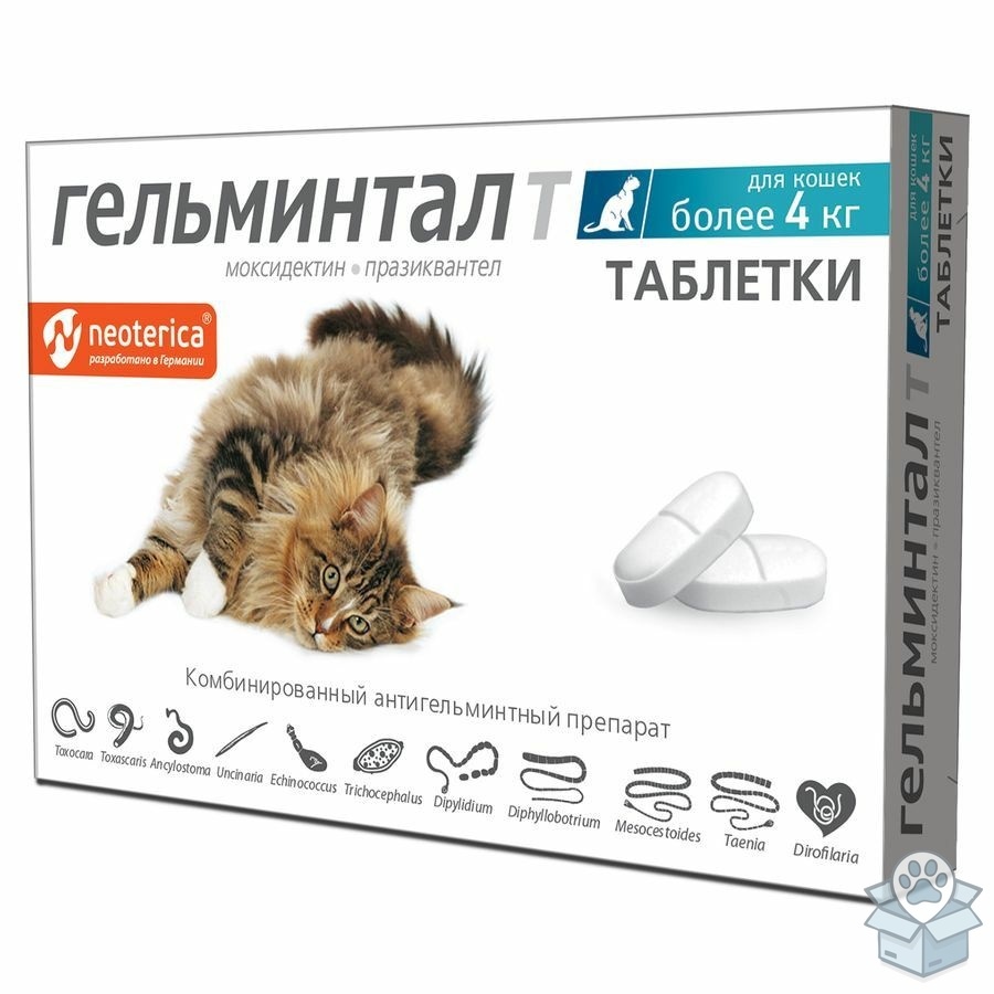 65fe0e5fad894c9fb73b13737171ea44